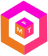 FMT logo