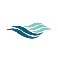 FSEA logo