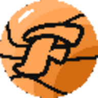 FST logo