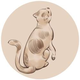 GATTO logo