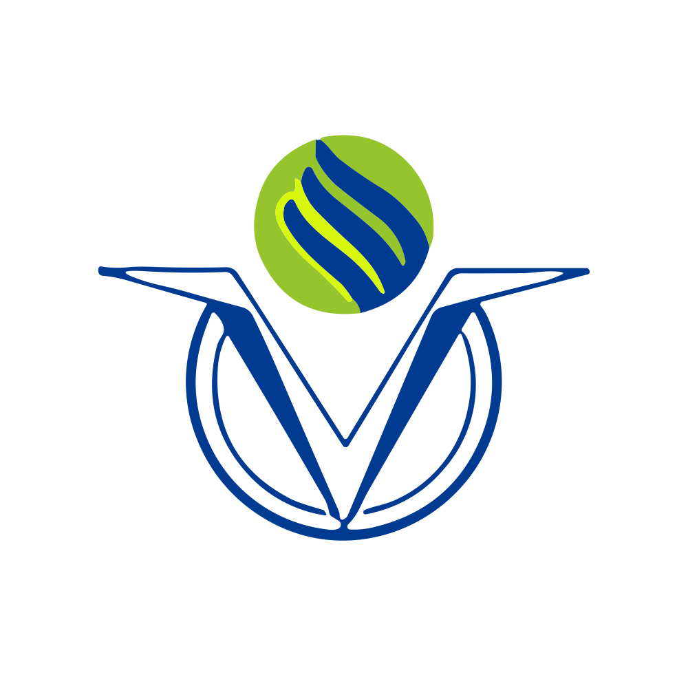 GLOBALVECT.NSE logo