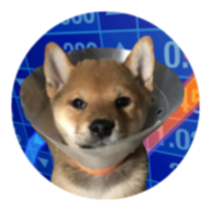 GOGO logo