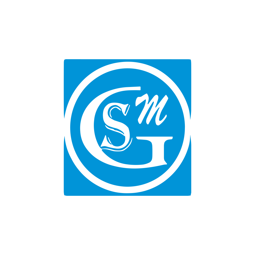 GSMFOILS.NSE logo