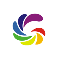 GSS.NSE logo