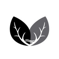 GWAV logo