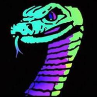 HISS logo