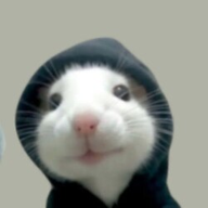 HOODRAT logo
