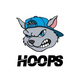 HOOPS logo