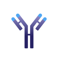 IMVT logo