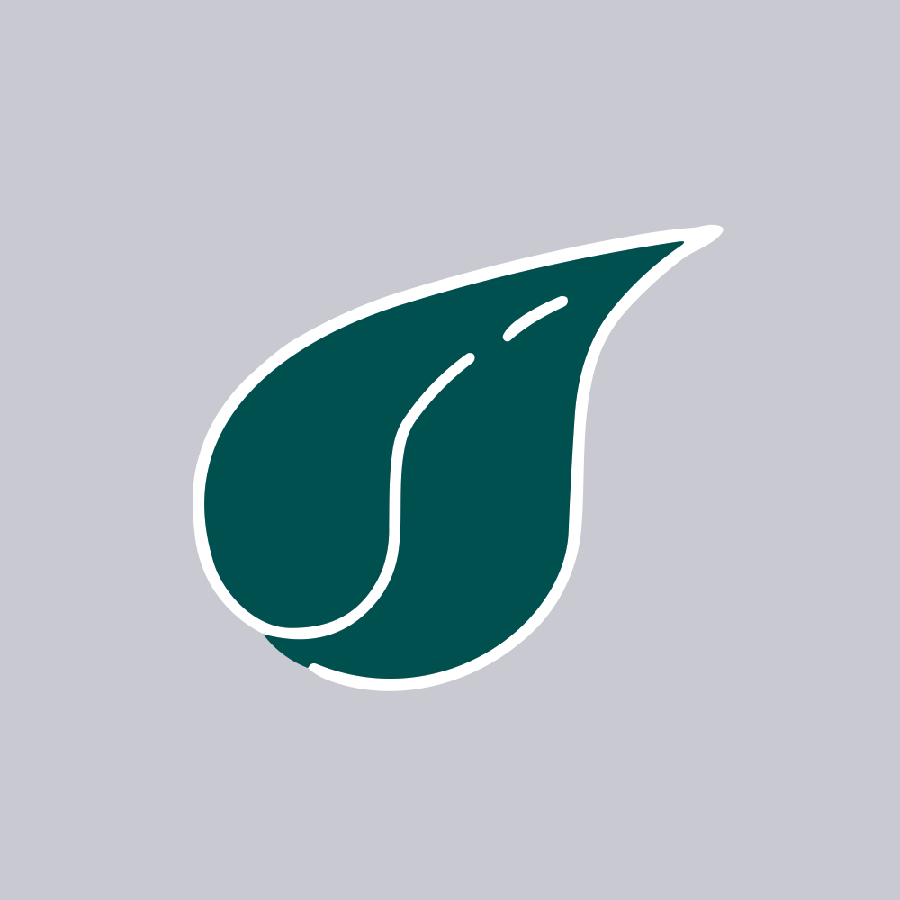 INDOUS.NSE logo