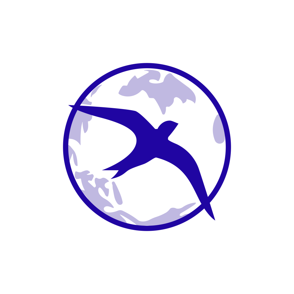 INDSWFTLAB.NSE logo