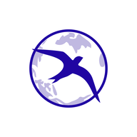 INDSWFTLAB.NSE logo