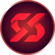 INSN logo