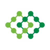 INSUR logo