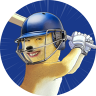 IPL logo