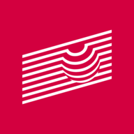 IX logo