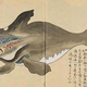 JAPANWHALE logo