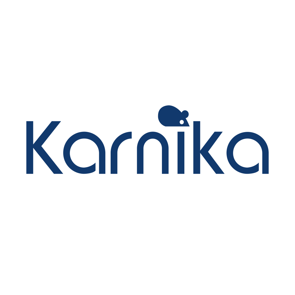 KARNIKA.NSE logo