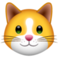 KIF logo