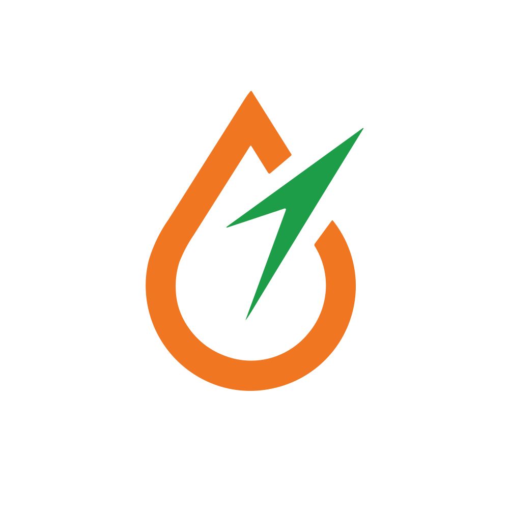 LAKSHYA.NSE logo