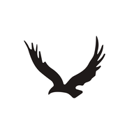 LAL.NSE logo