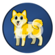 LDOGE logo