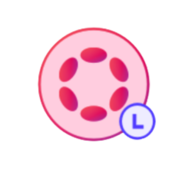 LDOT logo