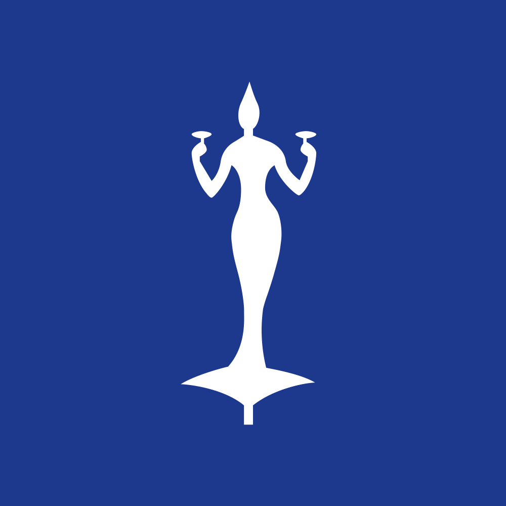 LMW.NSE logo