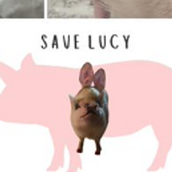 LUCY logo