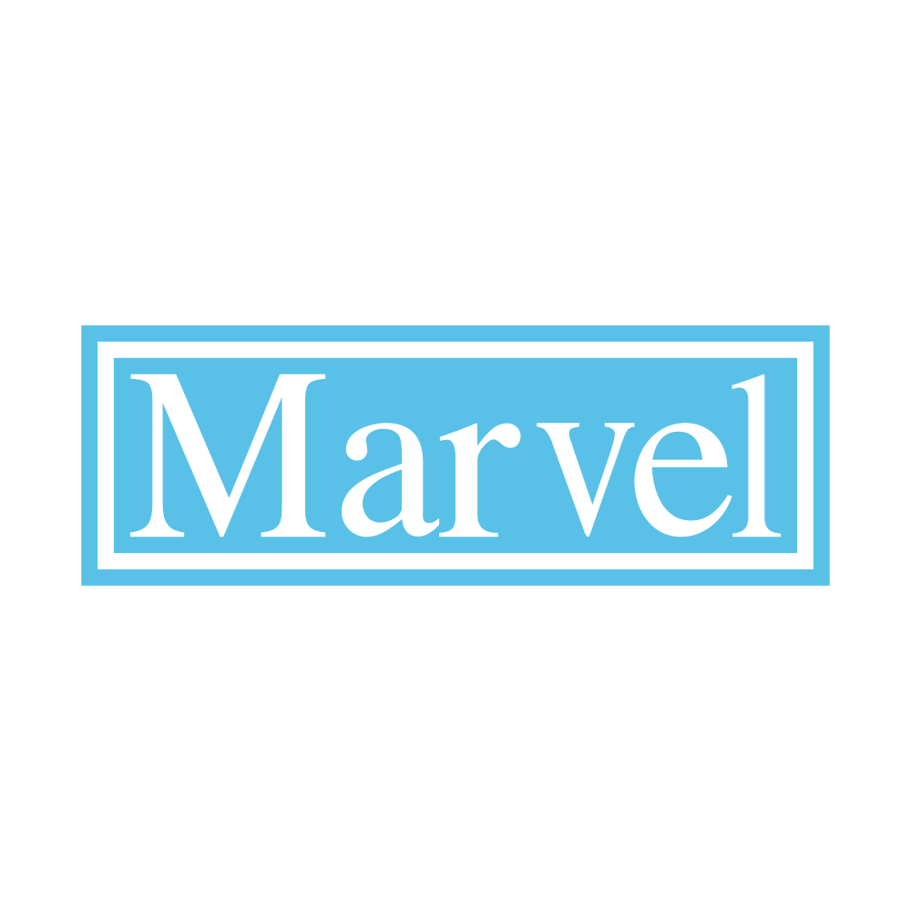 MDL.NSE logo