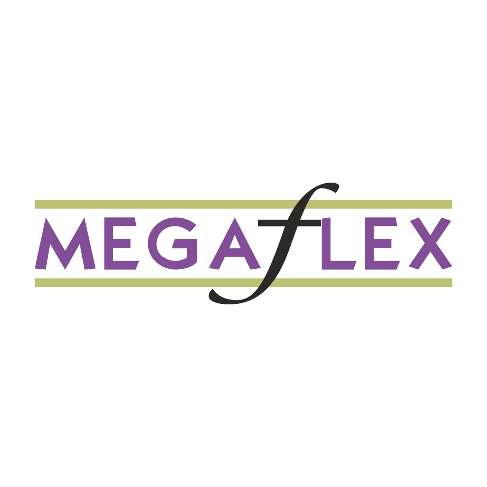 MEGAFLEX.NSE logo