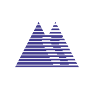 MEGASOFT.NSE logo