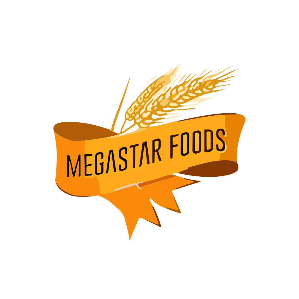 MEGASTAR.NSE logo