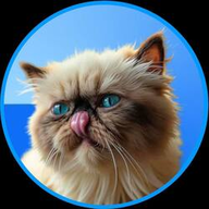 MIGGLES logo