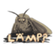 MOTH logo