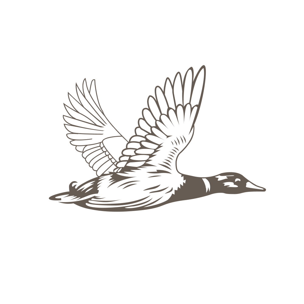 NAPA logo
