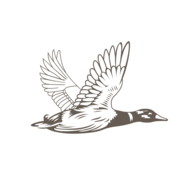 NAPA logo