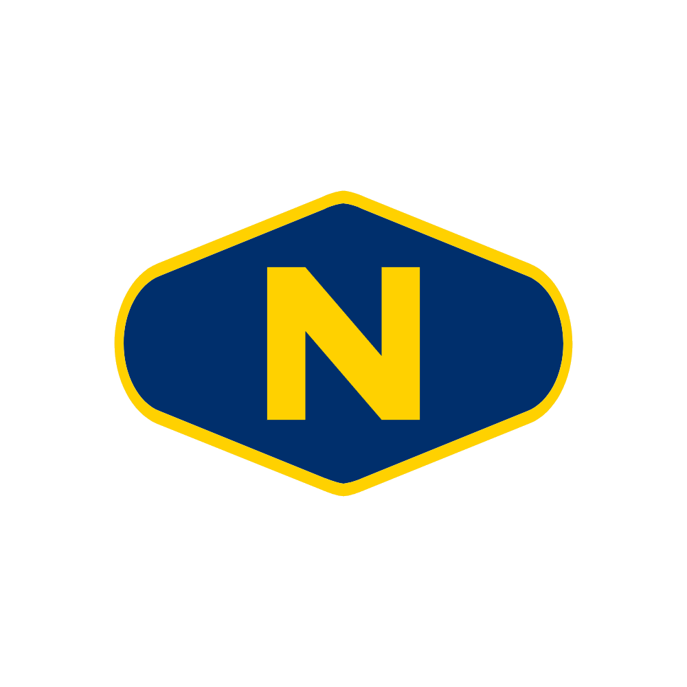 NE logo