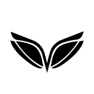 NESR logo