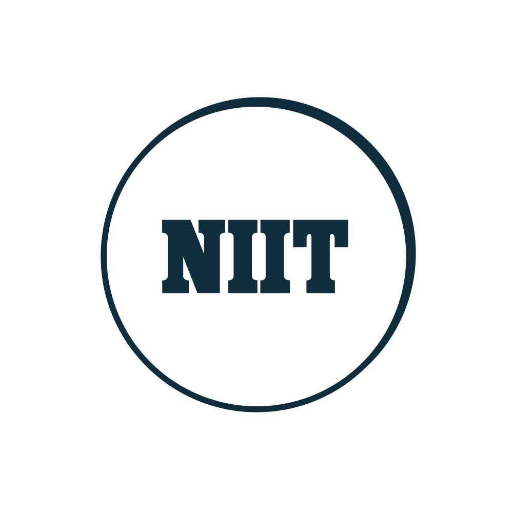NIITMTS.NSE logo