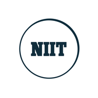 NIITMTS.NSE logo