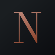 NILASPACES.NSE logo