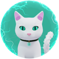 NOCHA logo