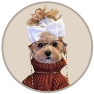 NOODS logo