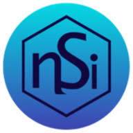 NSI logo