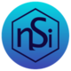 NSI logo