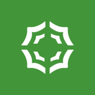 NSP logo