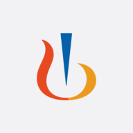 NVS logo