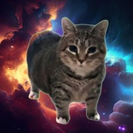 OIACAT logo