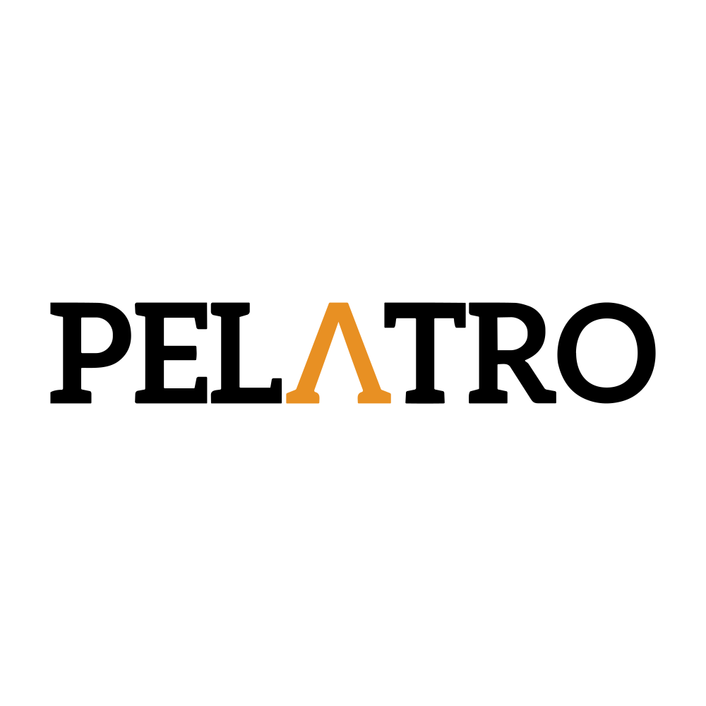 PELATRO.NSE logo